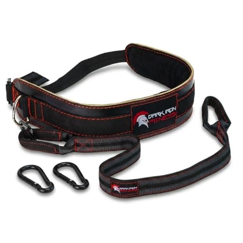 The Best Dip Belts